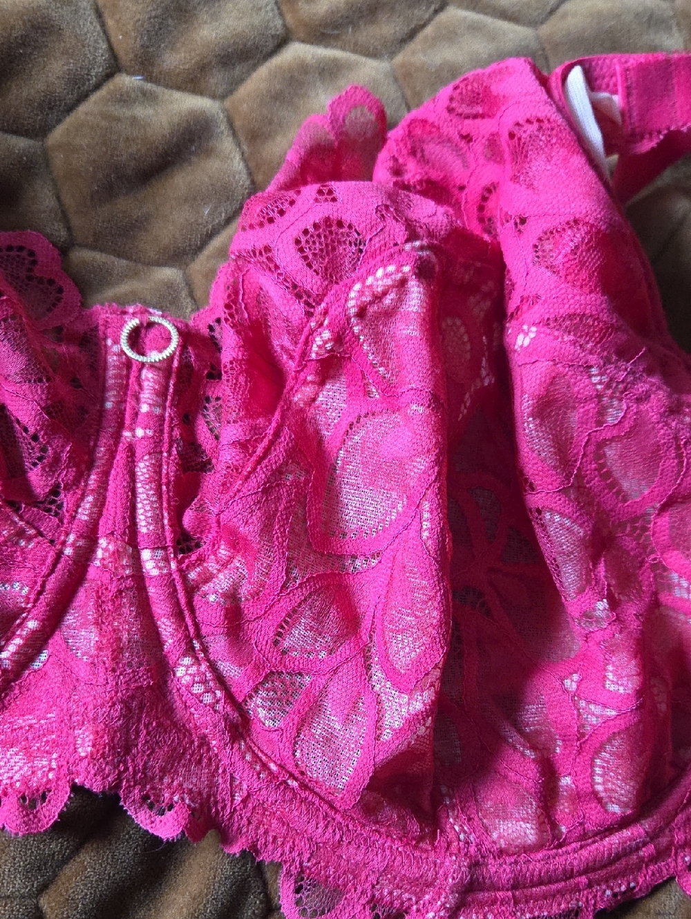 Panache Hot Pink Lace Underwire Bra - UK 34H / US 34K - Picture 2 of 5